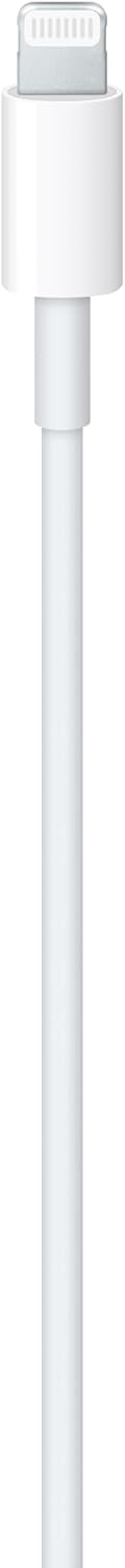 Apple USB-C to Lightning Cable (1 m)